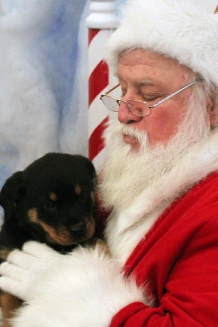 Santa has tails wagging at Welcome Center